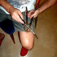 In the meantime, dad's working hard trying to crack some of these delicious macadamia nuts we got from Yoel