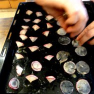 Folding little cones of radish