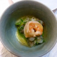 Avocado, shrimp tartar, seared shrimp and citrus foam