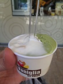 Green tea ice-cream is my personal favorite. Ironically, I was less impressed with the vanilla flavor.